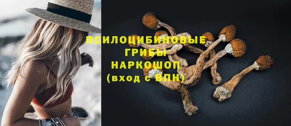 бошки Елизово