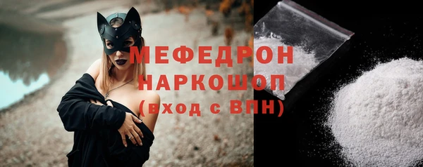 ECSTASY Ельня