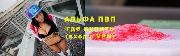ECSTASY Ельня