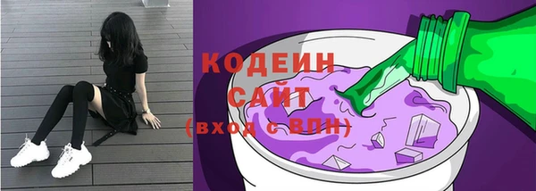 ECSTASY Ельня