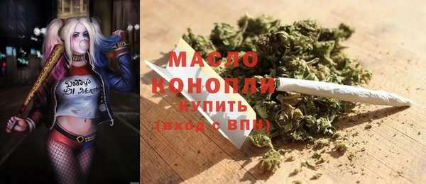 ECSTASY Ельня