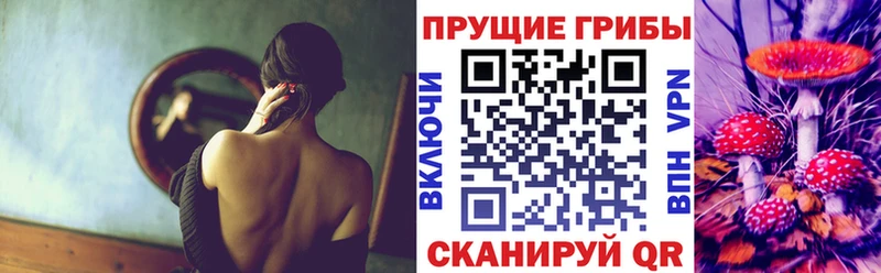 наркота mega рабочий сайт Галлюциногенные грибы мухоморы Калачинск